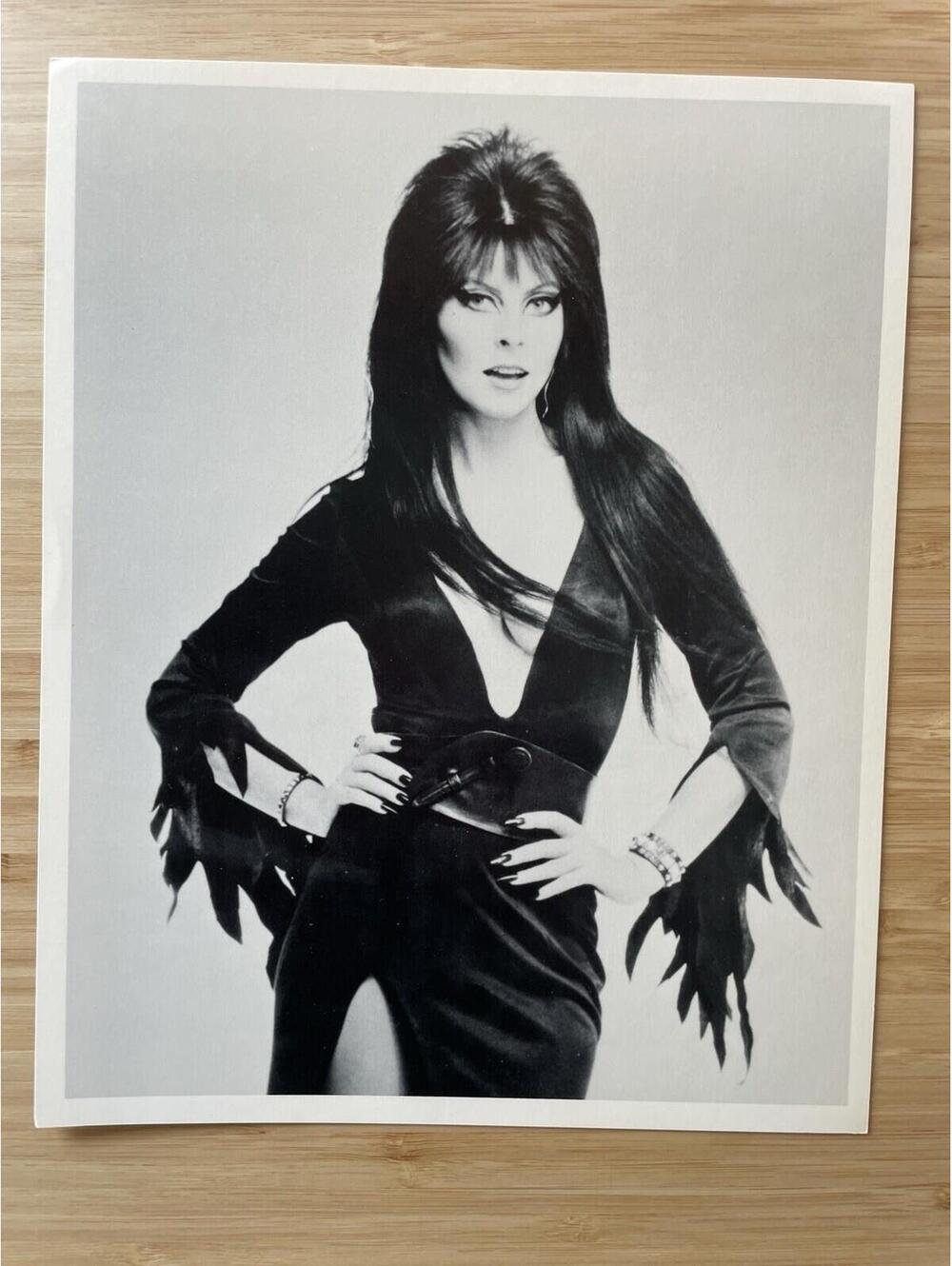 Elvira Mistress Of The Dark Photo